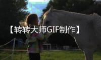 【转转大师GIF制作】转转大师GIF制作手机版免费下载
