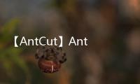 【AntCut】AntCut视频剪辑制作软件手机版免费下载