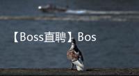 【Boss直聘】Boss直聘手机版免费下载