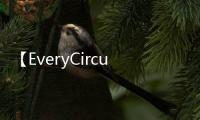 【EveryCircuit】EveryCircuit手机版免费下载