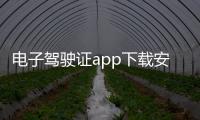 电子驾驶证app下载安装
