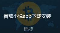 番茄小说app下载安装