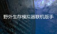 野外生存模拟器联机版手游下载